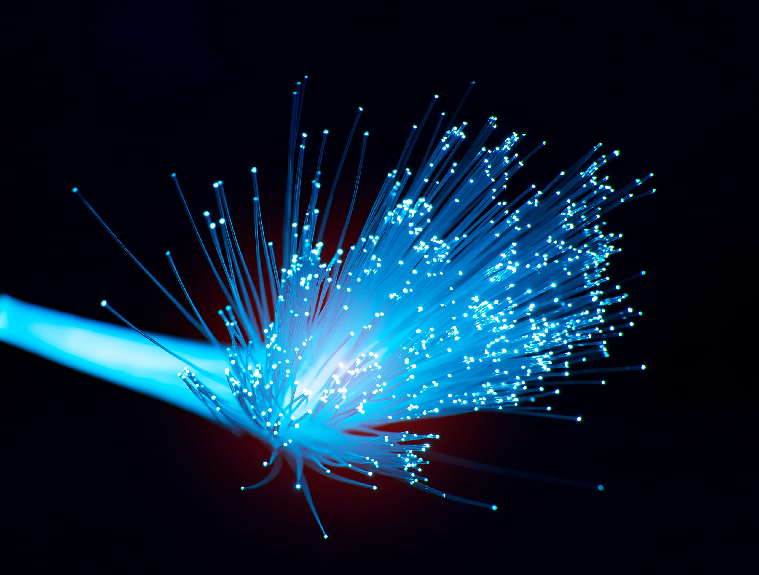 Fiber s Sustainability Benefits Pay Short and Long Term Dividends Fiber s Sustainability Benefits Pay Short and Long Term Dividends