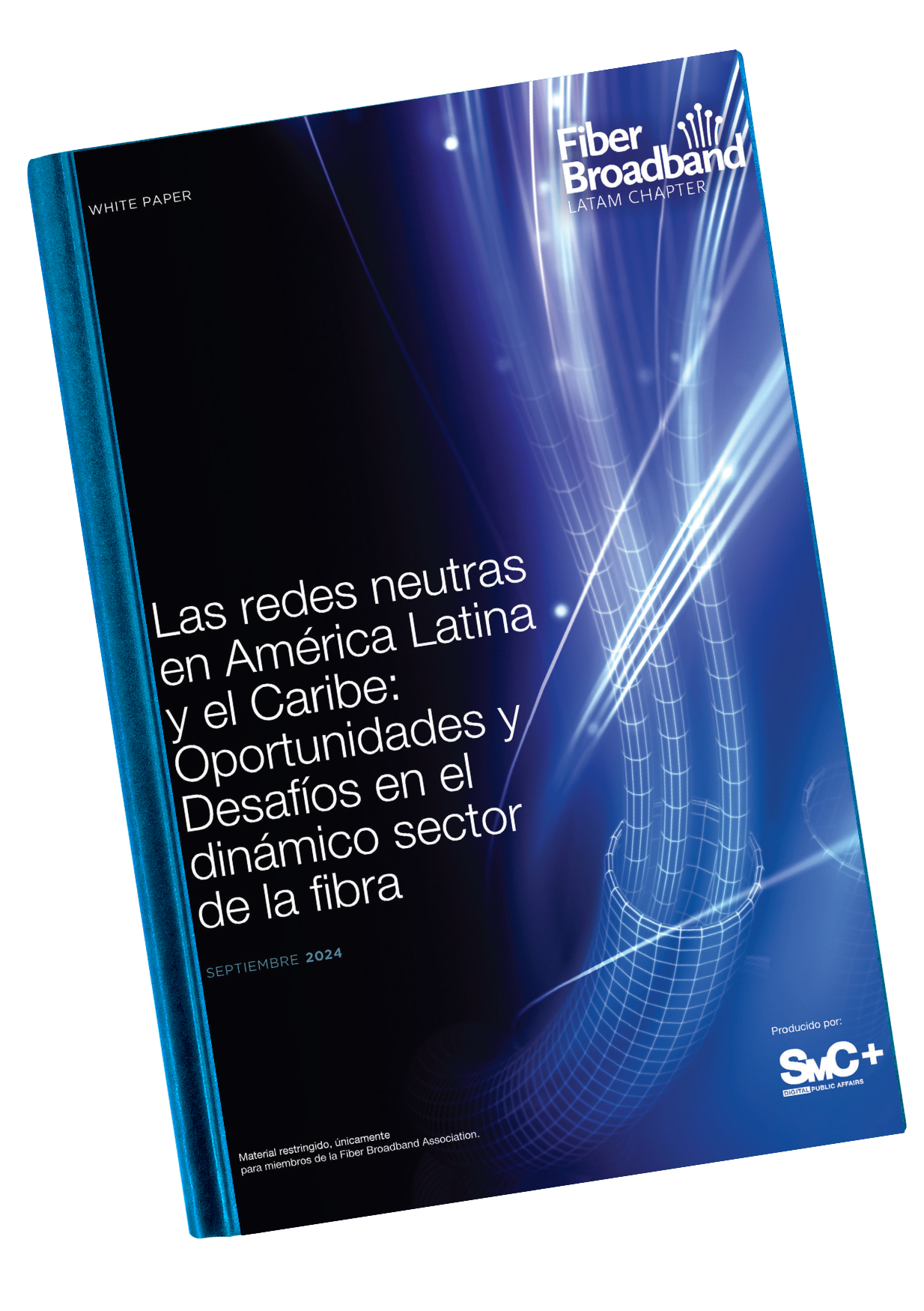 RESUMEN: Las redes neutras en América Latina y el Caribe: Oportunidades ...